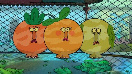 Épisode 18