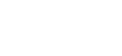 Joyeux Noël, Charlie Brown !
