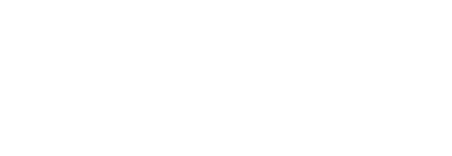 L'Affaire Roman J.