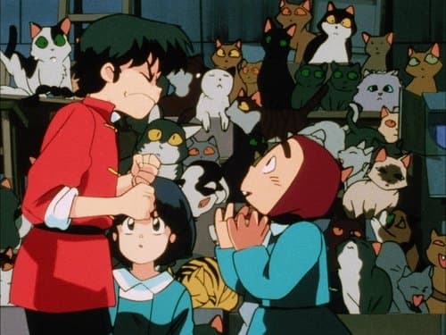 T'aimes vraiment pas les chats ?