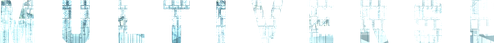 Multiverse