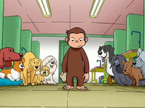 Épisode 17