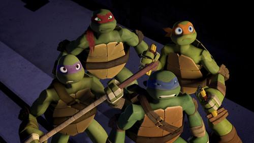 L'apparition des Tortues (2)