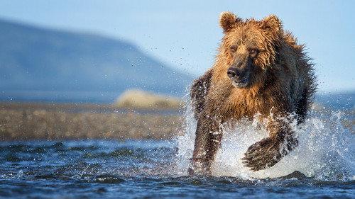 Course contre la montre