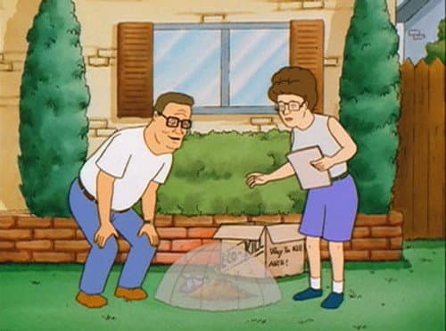 Le roi des fourmis