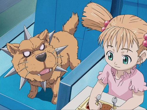 Il faut récupérer Cerberus !