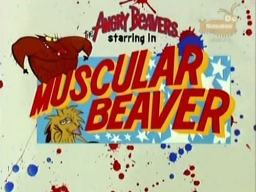Castor Musculor