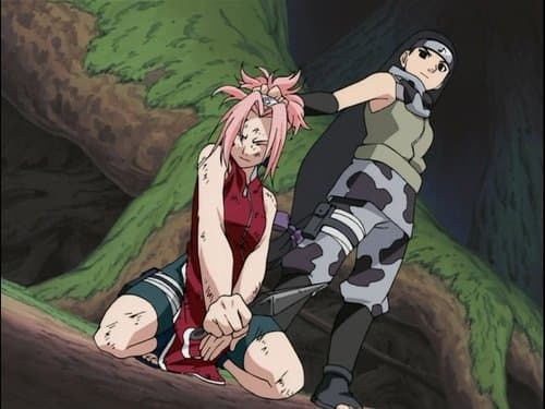 Le réveil de Sakura ! Plus de figuration