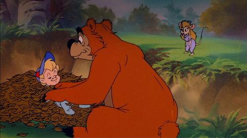 Qui veut la peau de l'ours du camping ?