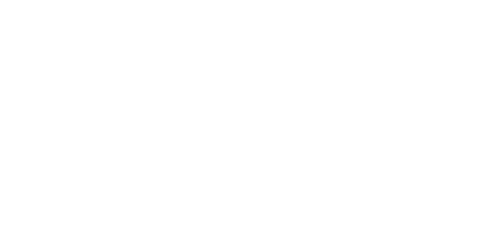 L'Histoire de l'amour