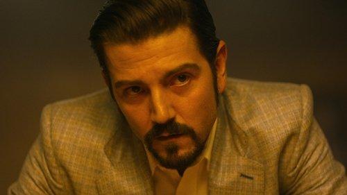 Le big boss