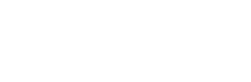 Agent Stone