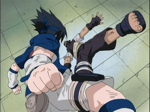Shishirendan ! La fureur du lion