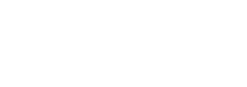 Le Nouveau