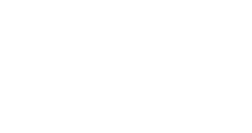 Never Back Down: La Révolte