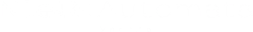 NieR Automata Ver1.1a