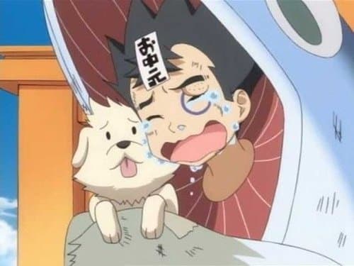 Saruyama en cadeau