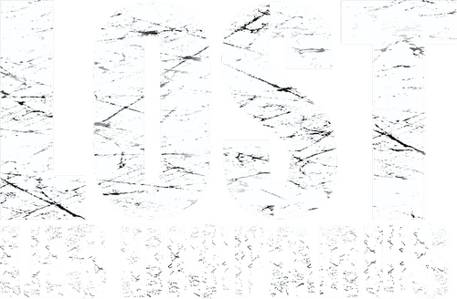 Lost : Les Disparus