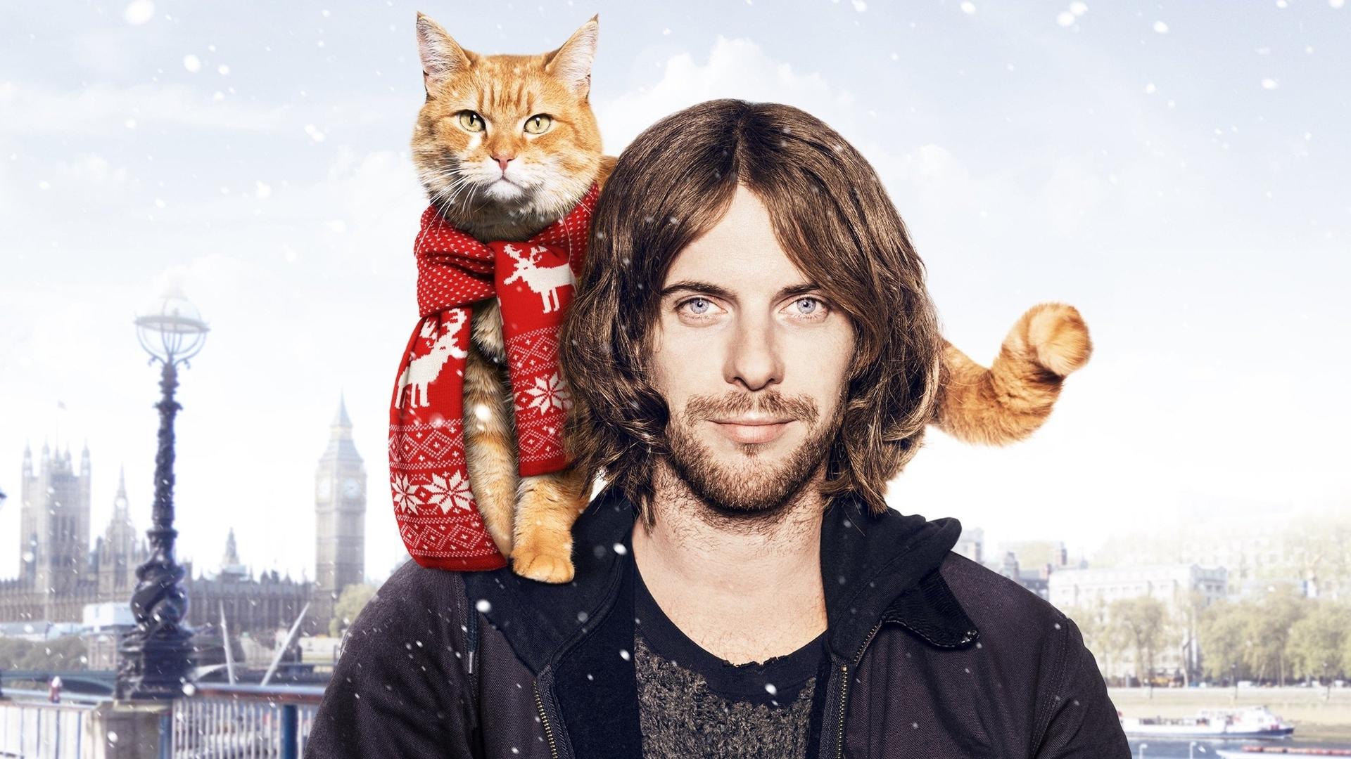 Un chat pour la vie