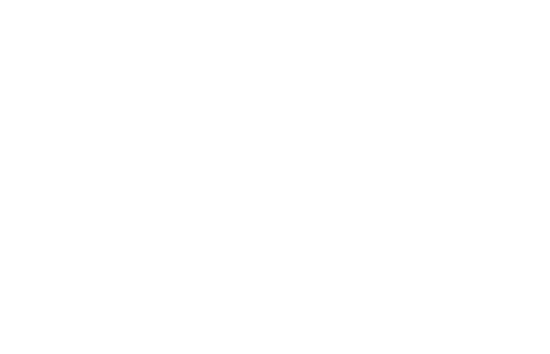 The Midnight Club