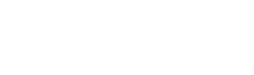 The Remaining