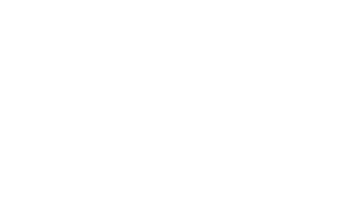 L'Agence tous risques