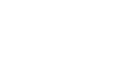 Public Enemies